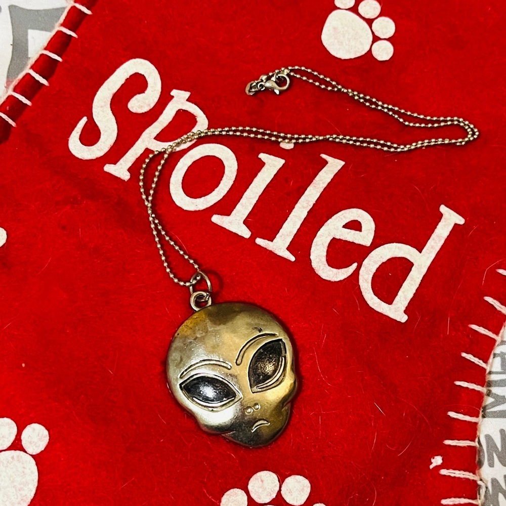 ALIEN 👽 Do you Believe If so you’ll love to be the only one with this necklace